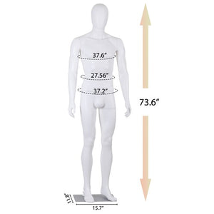 Segawe Male Mannequin Dress Form 73" Adjustable Stand w/Base White Mannequin Full Body