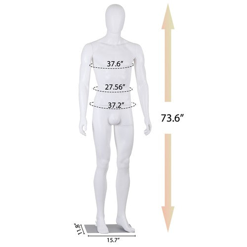 Segawe Male Mannequin Dress Form 73" Adjustable Stand w/Base White Mannequin Full Body