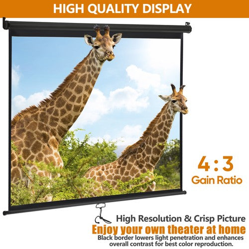 Segawe 72" Roll Down Pull Down Projection Projector Screen 4:3 HD Movie Theater Black