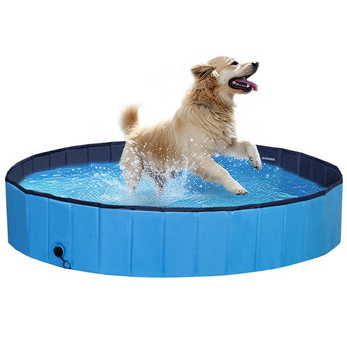 Segawe 63'' x 12'' Foldable Dog Pool Bathtub Collapsible Hard Plastic Pet Swimming Pool