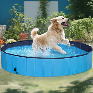 Segawe 63'' x 12'' Foldable Dog Pool Bathtub Collapsible Hard Plastic Pet Swimming Pool