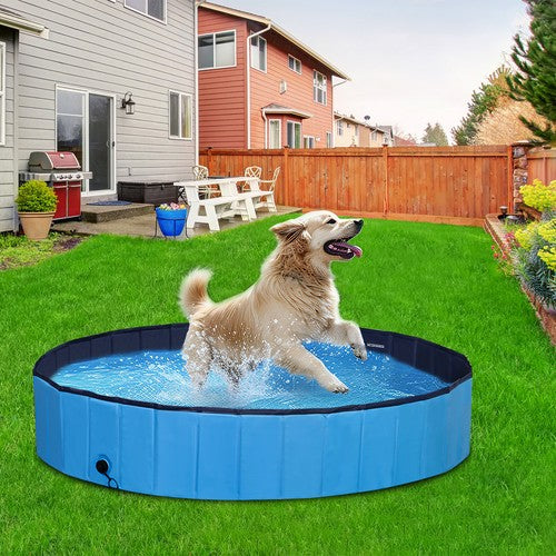 Segawe 63'' x 12'' Foldable Dog Pool Bathtub Collapsible Hard Plastic Pet Swimming Pool