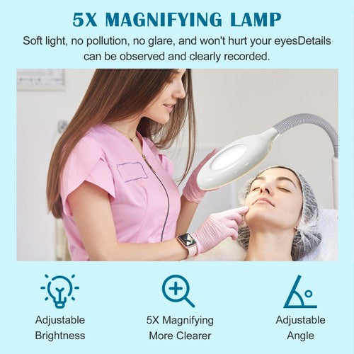 Segawe Professional 3 in 1 Facial Steamer w/5X Magnifying Lamp Hot Cool Mist Function